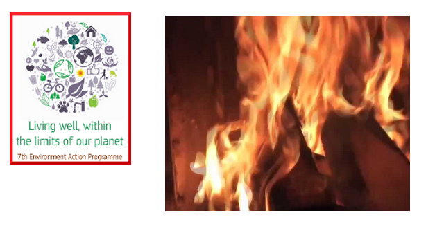 Normativa: combustione controllata di materiale vegetale (sfalci e potature)
