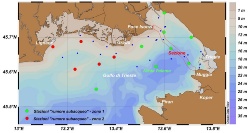 Stato oceanografico ed ecologico del Golfo di Trieste - Dicembre 2021