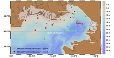 Stato oceanografico ed ecologico del Golfo di Trieste - Aprile 2021