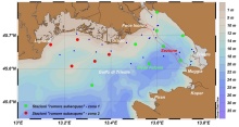 Stato oceanografico ed ecologico del Golfo di Trieste - Gennaio 2021