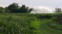 campagna della pianura friulana con irrigazione a pioggia